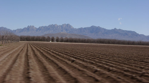 organ mtns