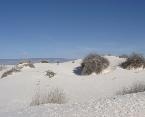 White Sands